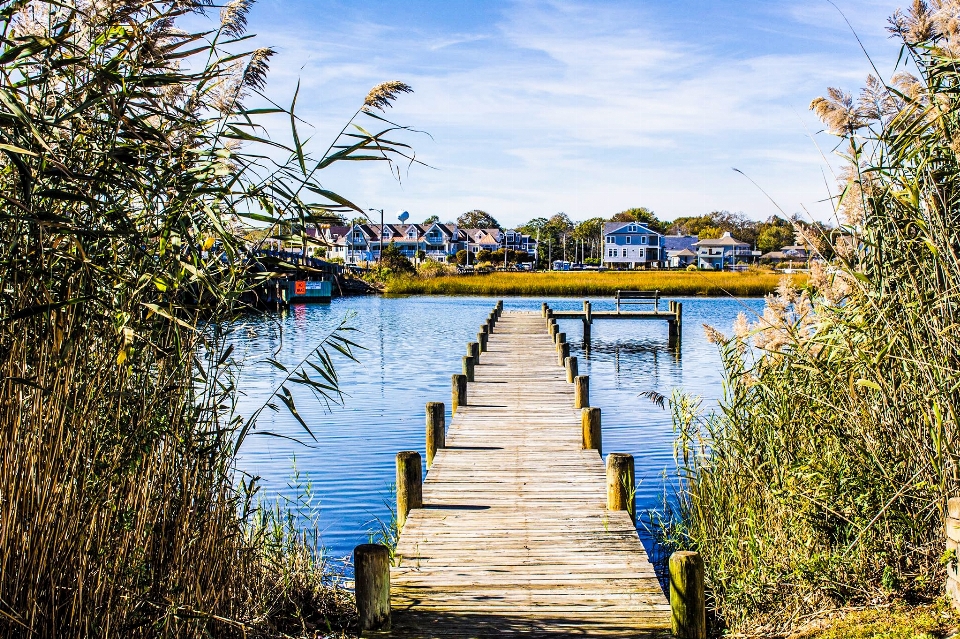 Nature beach landscape shore