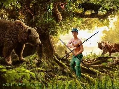 Photo manipulation nature jungle wildlife Photo