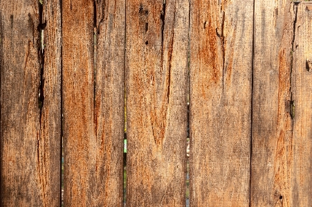 Wood stain hardwood plank Photo