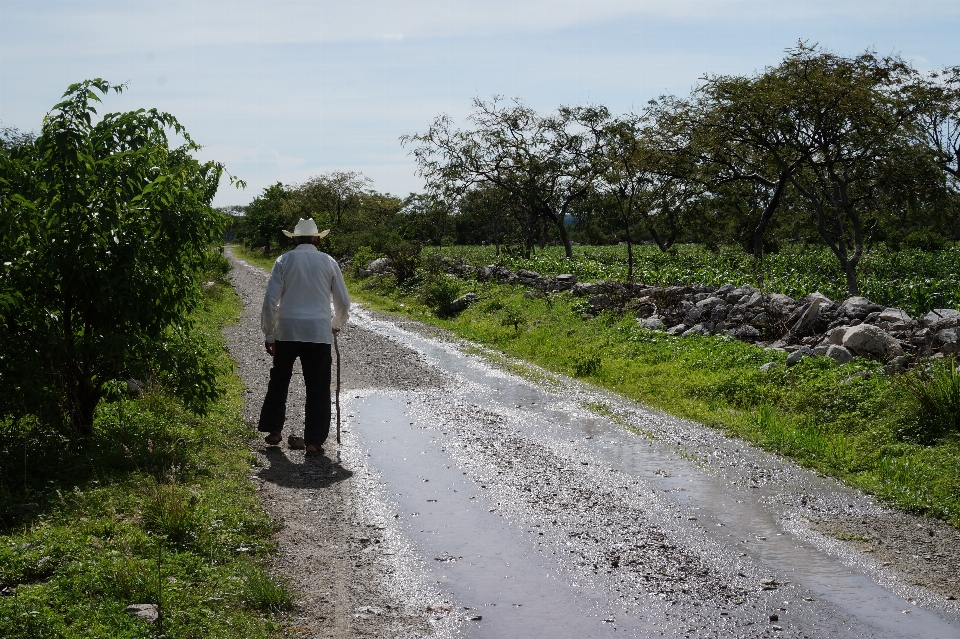 Natura vita persone strade