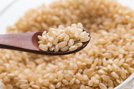 Food carnaroli dish barley Photo