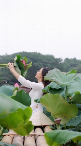 Lotus girl flower family Photo