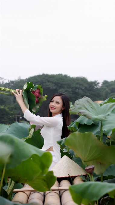 ロータス 女の子 花 蓮の家族
