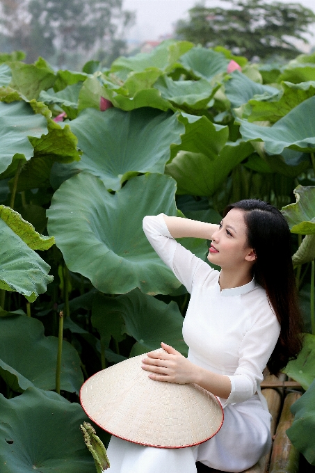 Lotus girl flower leaf