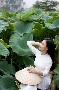 Lotus girl flower leaf Photo