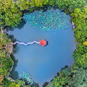 Hangzhou water resources nature jumping Photo