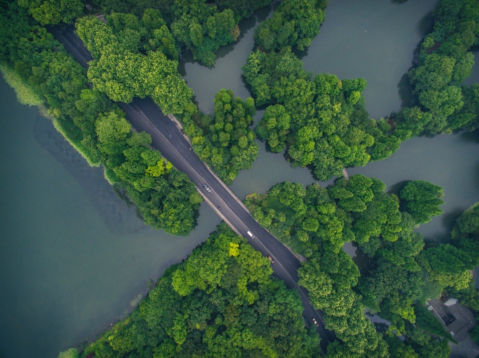 Hangzhou aerial photography vegetation water resources