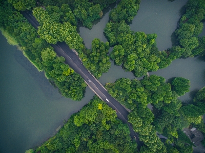 Hangzhou aerial photography vegetation water resources Photo