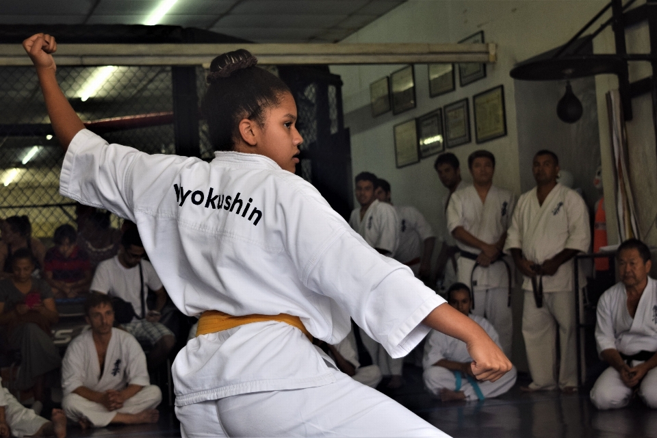 Kárate kyokushin
 decir
 demostracion
