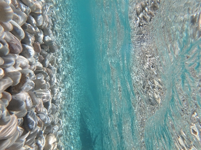 Foto Mallorque
 stream sungai kecil
 gila
