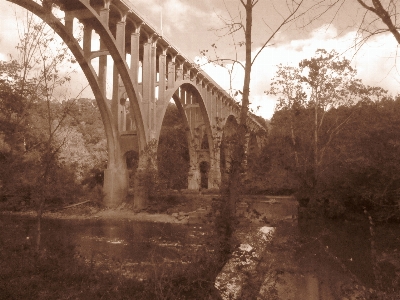 Sepia railway train autumn Photo