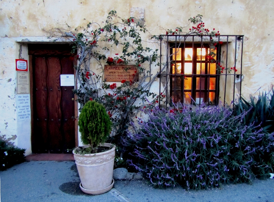 Carmel mission california roadtrip