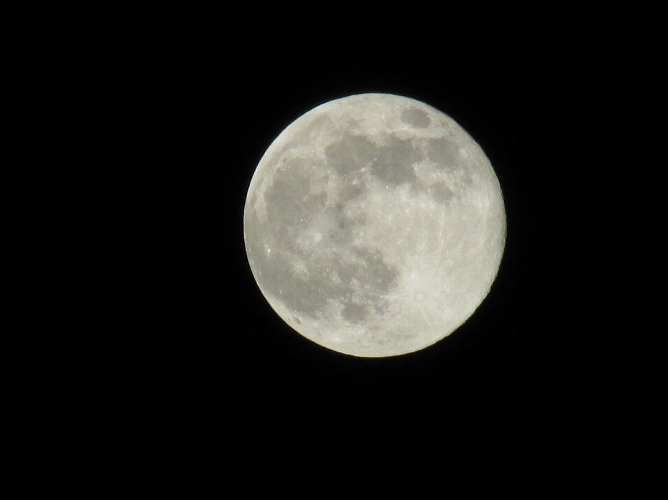 Moon luna white astronomy