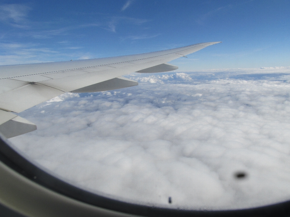 自然 空の旅
 空 航空会社