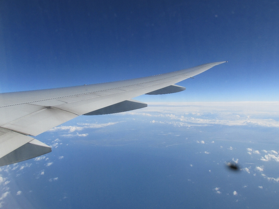 自然的 天空 航空旅行 白天