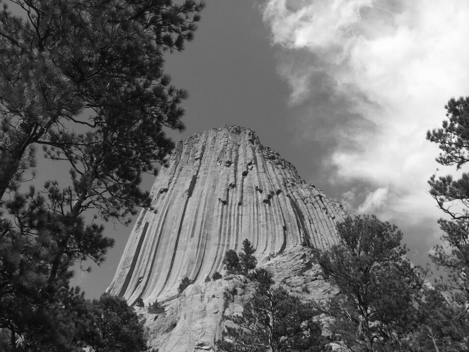 Torre del diablo
 en blanco y negro
 fotografía monocromática
 árbol