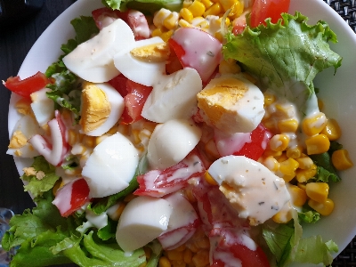 Food dish cuisine garden salad Photo