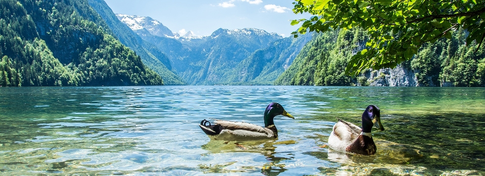 Natur berg
 see natürliche landschaft
