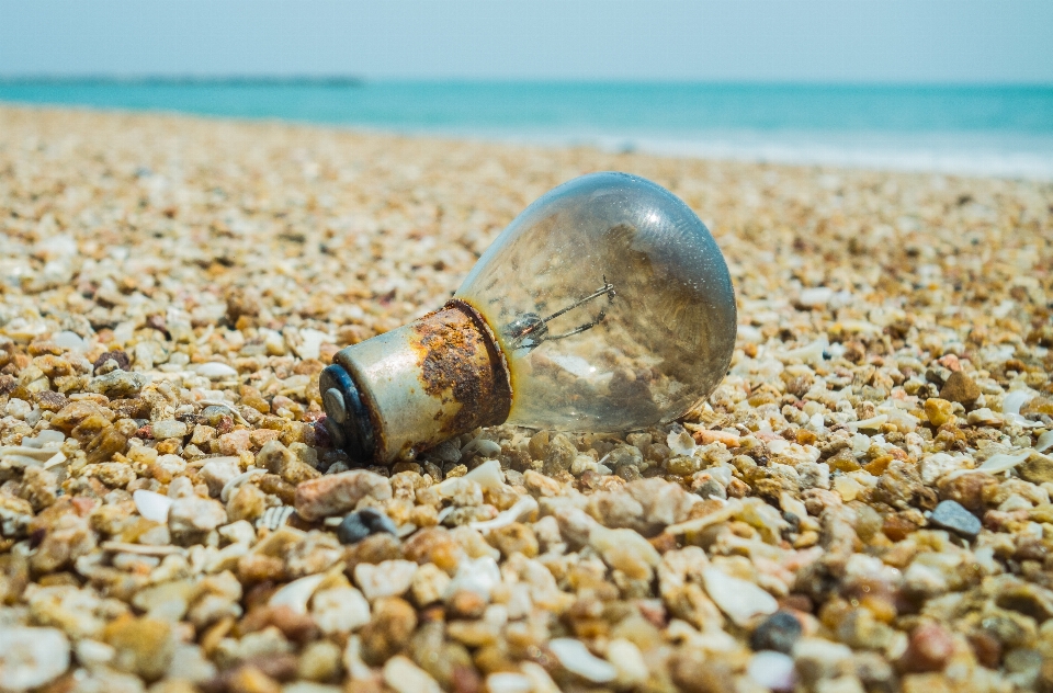 Visualizzazione conchiglia sabbia spiaggia