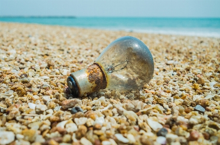 View shell sand beach Photo