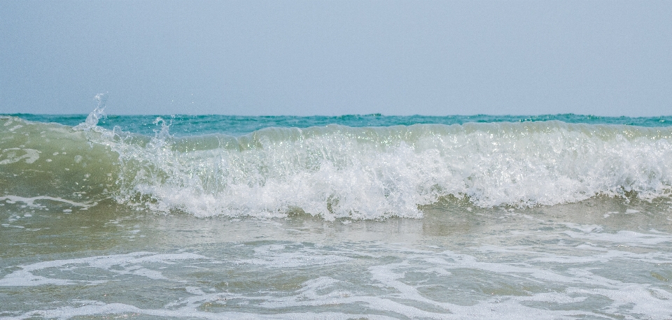 Visualizzazione onda del vento
 mare