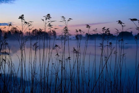 Natural nature sky landscape Photo