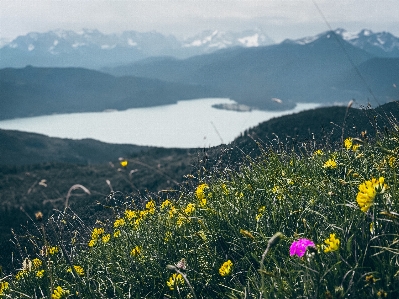 Bavaria germany nature walchensee Photo