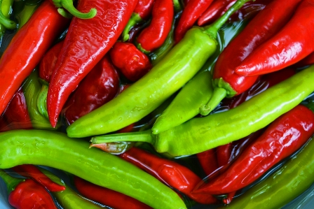 Agriculture background bright cayenne Photo