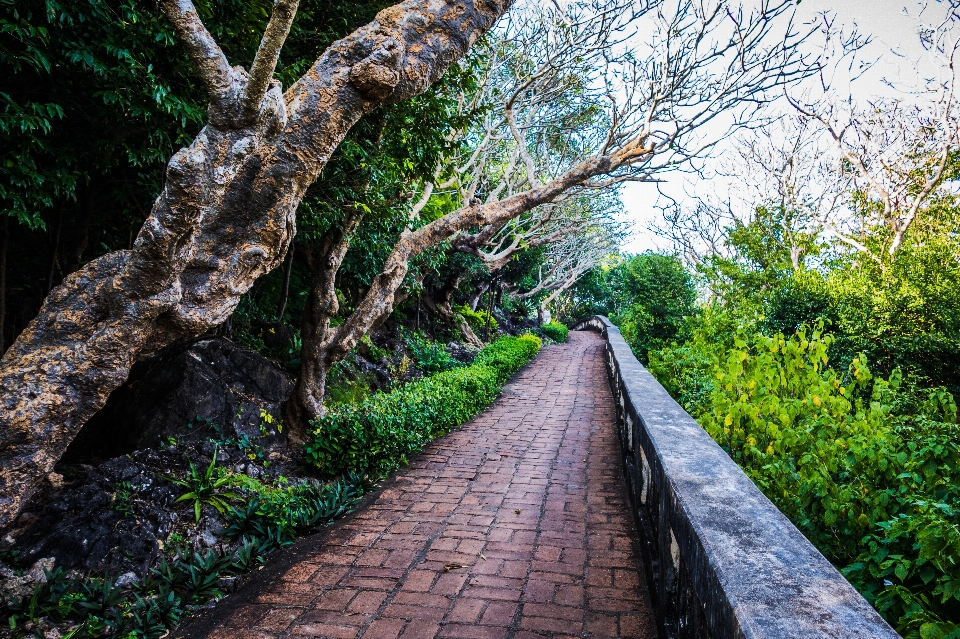 Historical park thailand nature