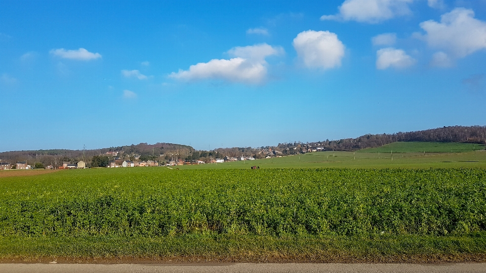 Countryside landscape clouds belgium