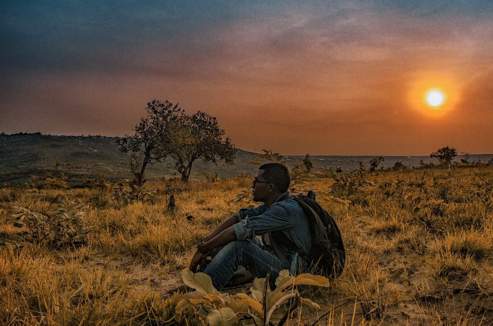 Afrique
 ciel savane
 environnement naturel
