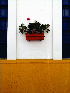 Mimari
 soyulmuş
 beyaz
 azul
 Fotoğraf