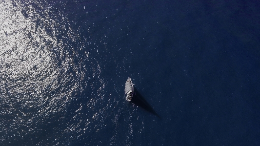 Photo Bateau isolé à voile
 naviguer