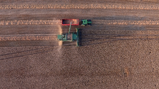 Summer industry agriculture tractor Photo