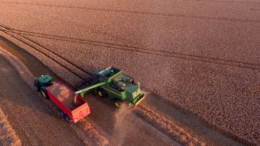 Summer industry agriculture tractor Photo