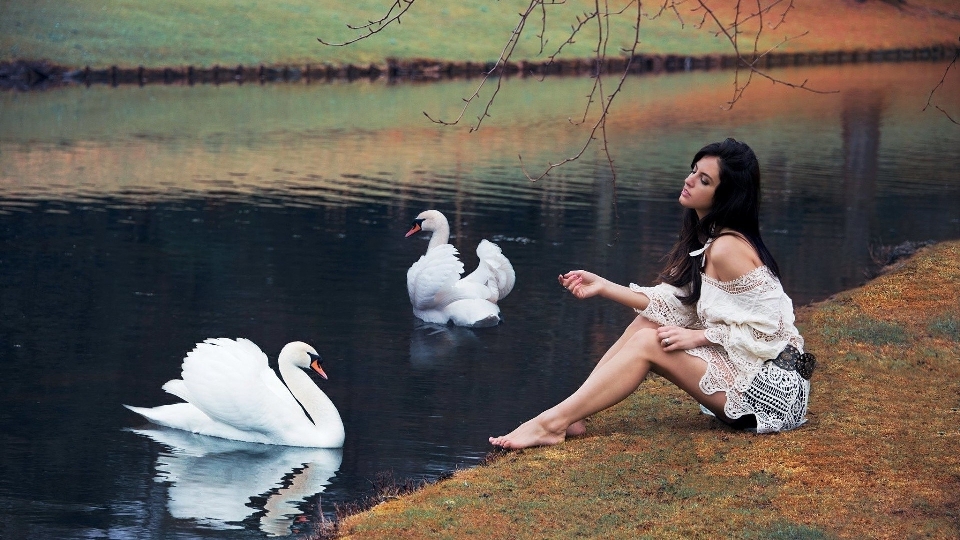 Mulher cisne pássaro aquático
