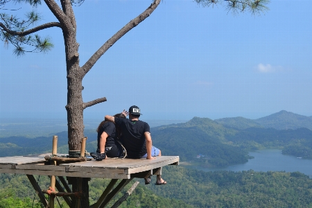 自然 木 空 丘 写真