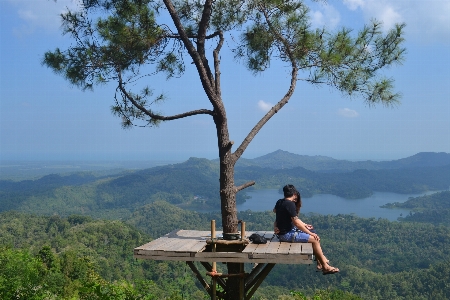 Foto Alam pohon stasiun bukit
 langit