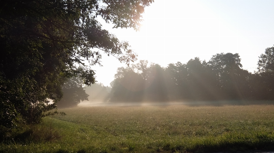 Natural mist atmospheric phenomenon nature