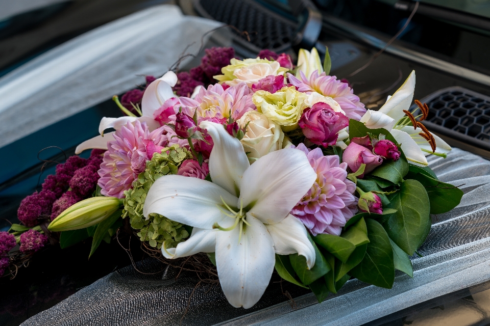 Fiore mazzo floristica
 composizione floreale
