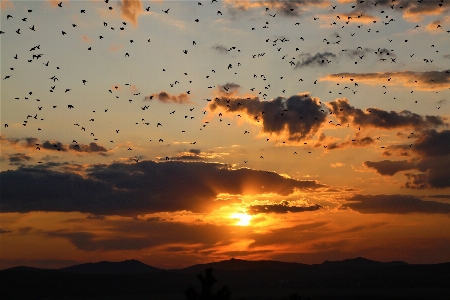 Sunset nature evening clouds Photo