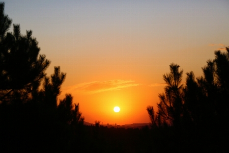 Sunset nature countryside sun Photo