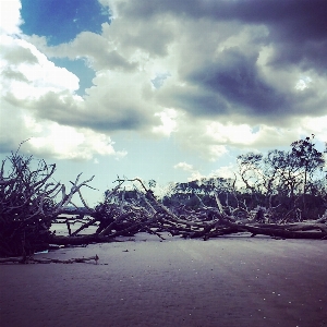 Foto Alami langit awan pemandangan alam
