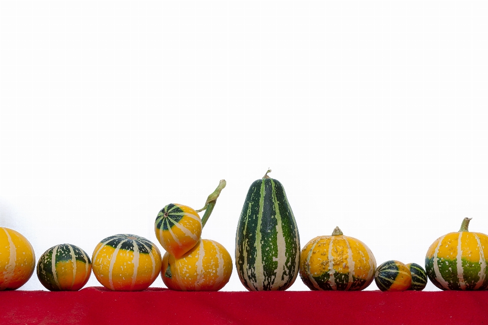 Calabaza otoño cosecha alimento