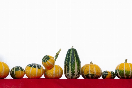 Foto Zucca autunno raccolto cibo