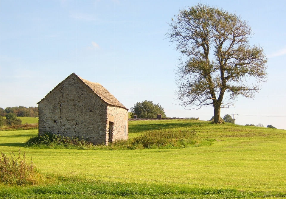 Grange arbre paysage naturel
 zone rurale
