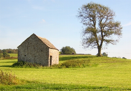 Barn tree natural landscape rural area Photo