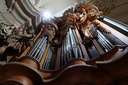 Monumethal organ whistles mystery Photo