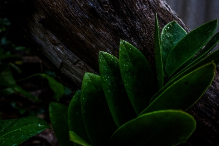 Nature view shadows relax Photo