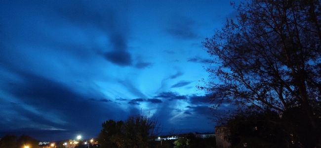 Tree sky cloud blue Photo